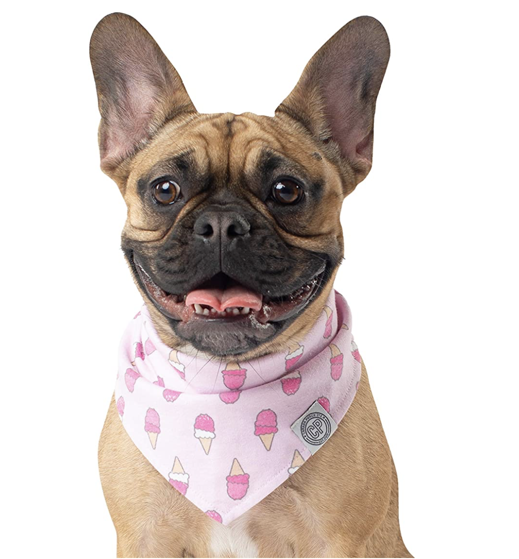 ideas for dog lovers